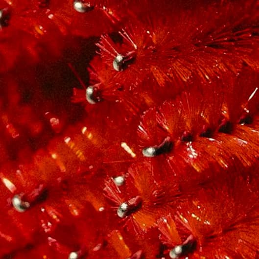 ClusterLash extension 3-month at SelfishBody  by Kawikitten in Fresno, CA